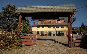Wincentówka - Realizujemy Bon Turystyczny